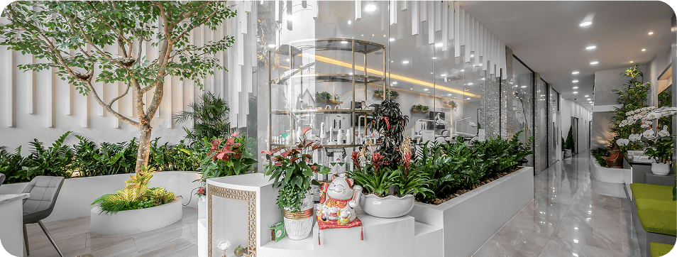 hình ảnh không gian nha khoa