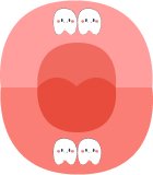 Minh họa răng hàm dưới dạng hoạt hình dễ thương – giúp trẻ em học về chăm sóc răng miệng tại Nha Khoa Phương Thành