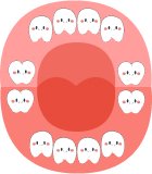 Minh họa răng hàm dưới dạng hoạt hình dễ thương – giúp trẻ em học về chăm sóc răng miệng tại Nha Khoa Phương Thành